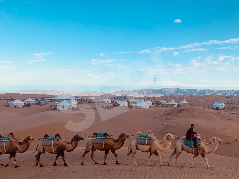 中衛騰格里沙漠露營帳篷